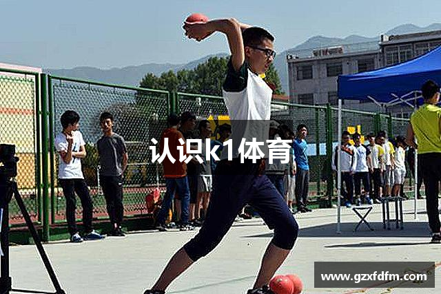 认识k1体育